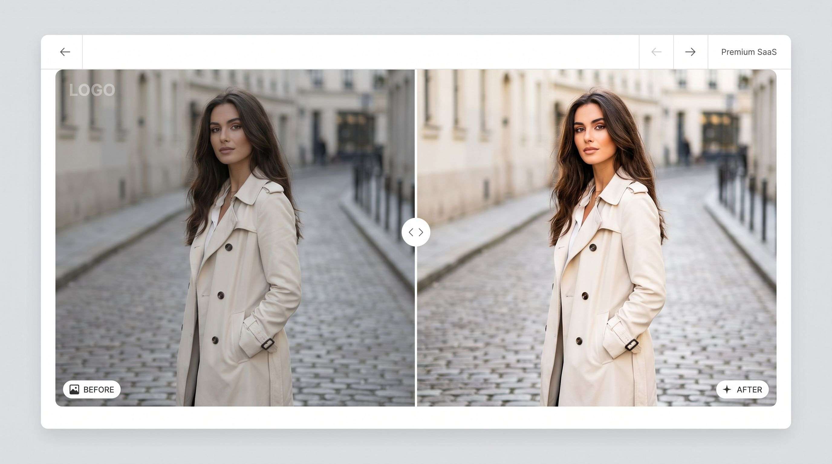 ProRemover Video Watermark Remover