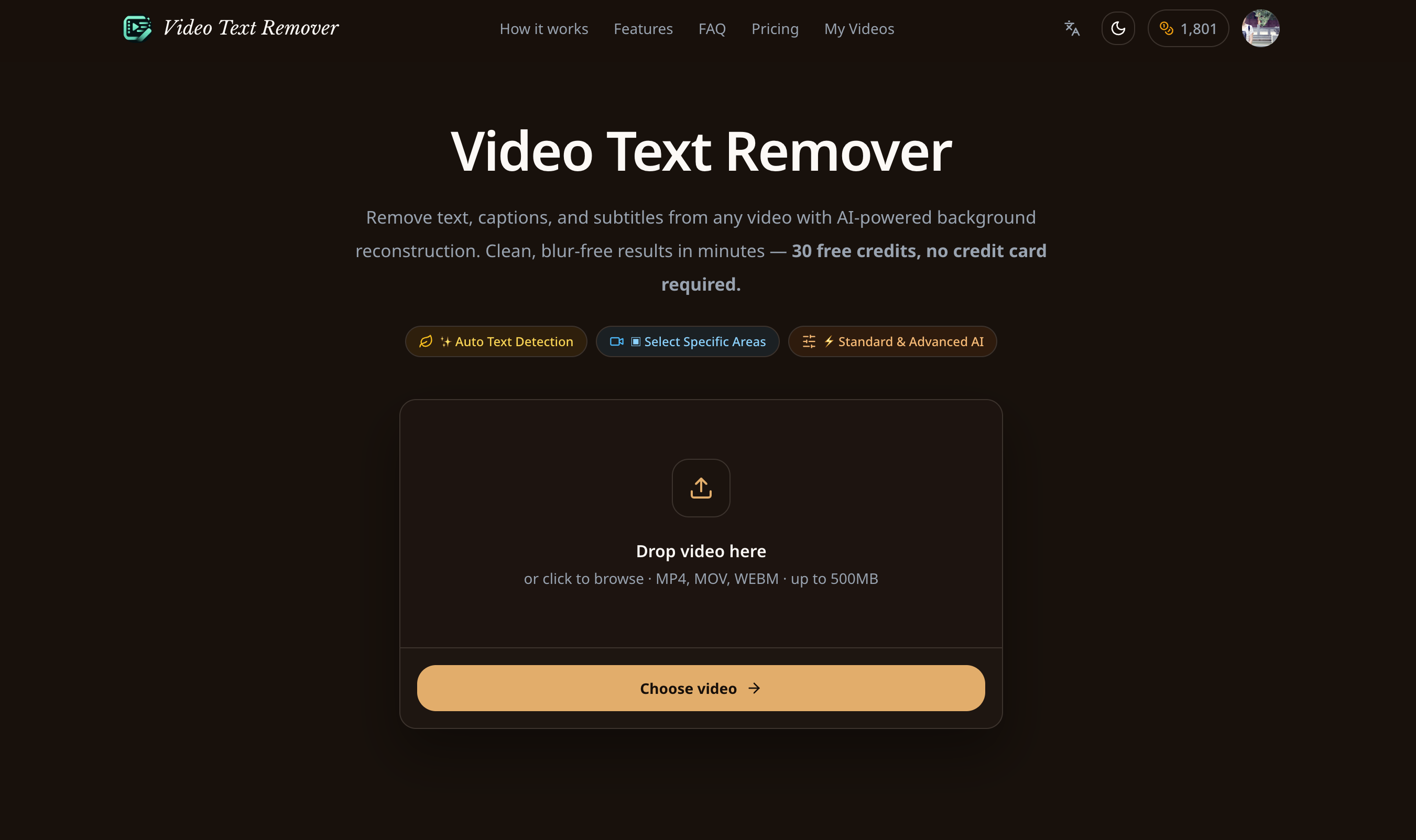 Video Text Remover