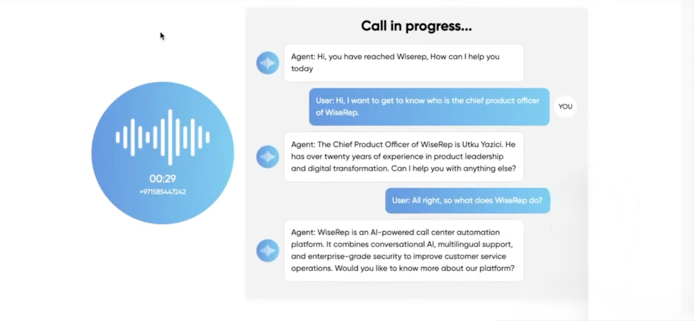 WiseRep AI