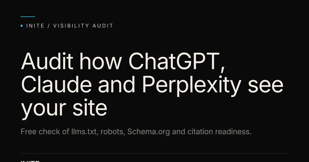 AI Visibility Audit