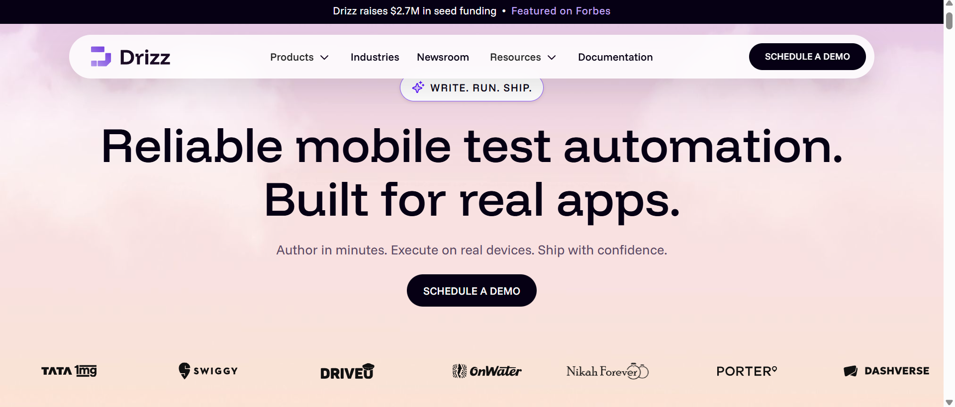 Drizz.dev