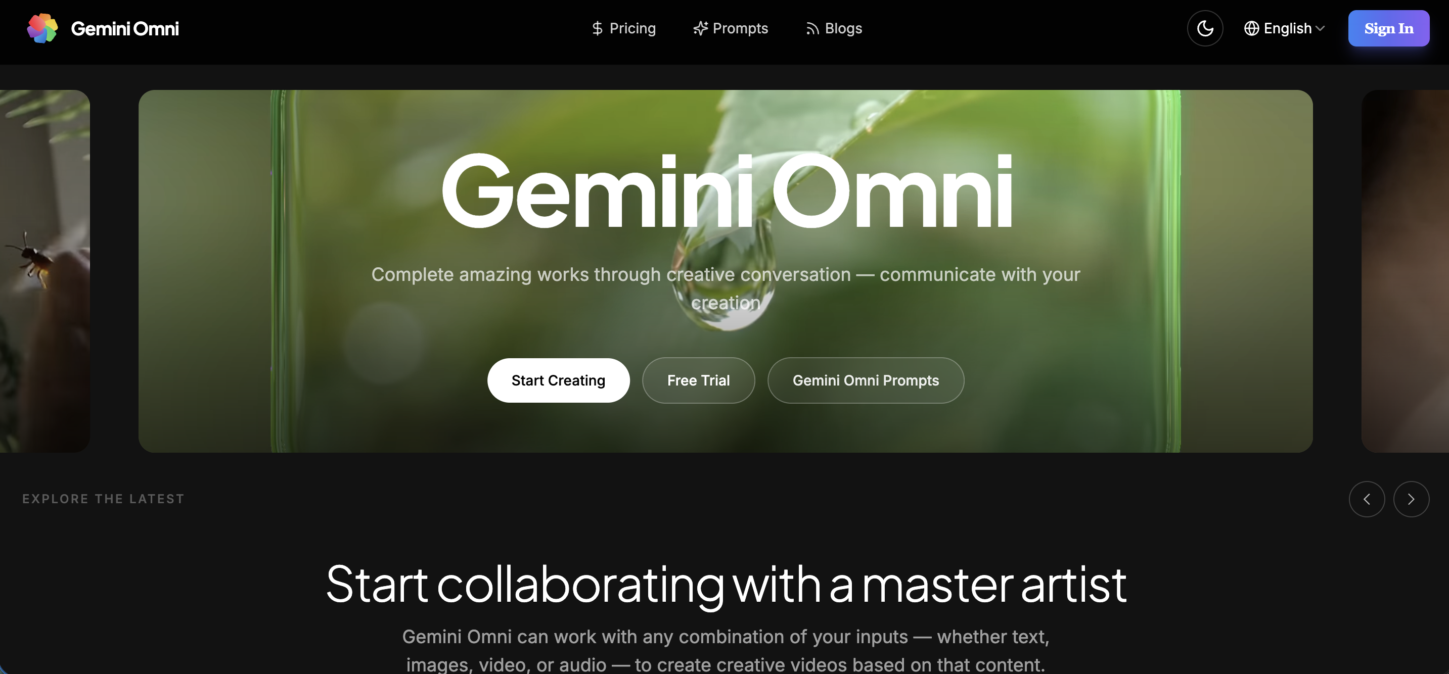 Gemini-omni