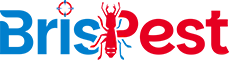 BrisPest