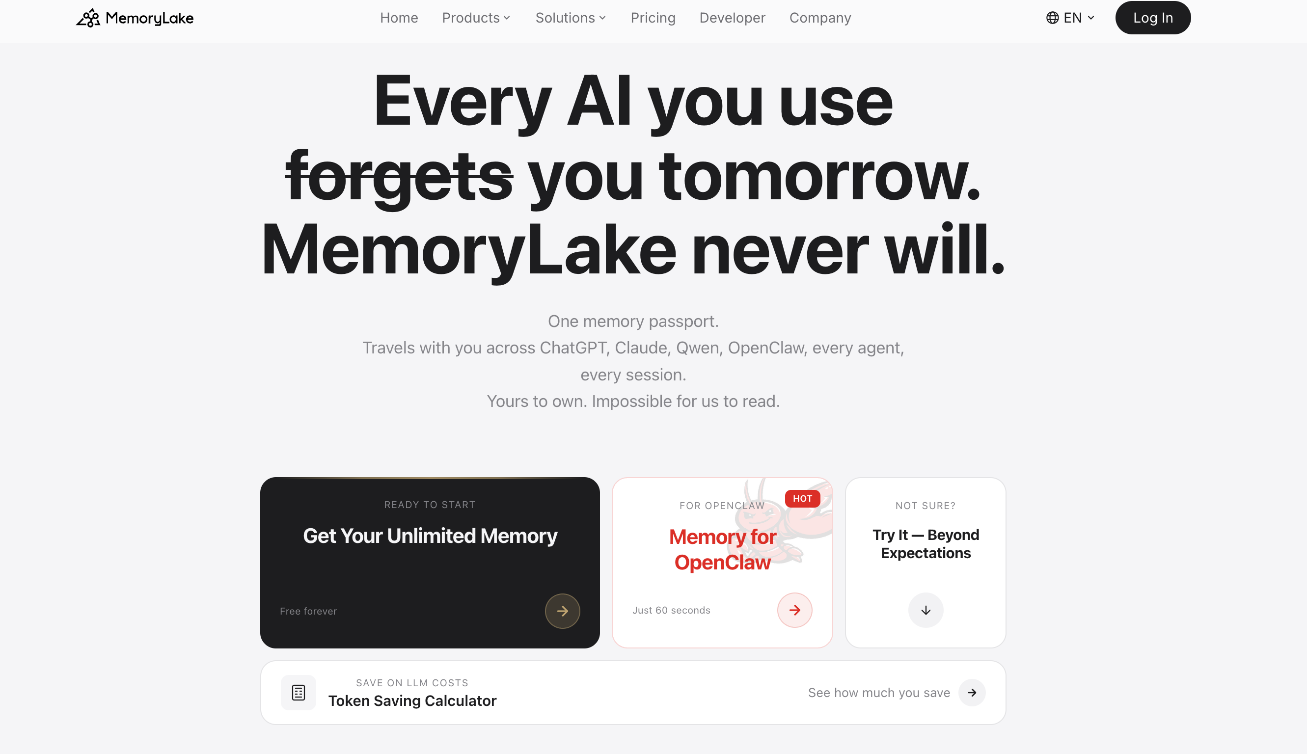 MemoryLake